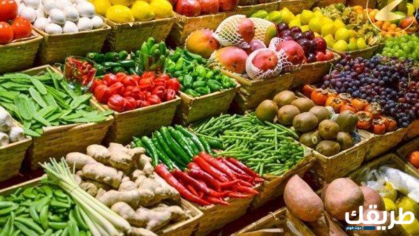 دراسة جدوى مشروع محل خضار وفواكه في مصر 2025 3   دراسة جدوى مشروع محل خضار وفواكه في مصر